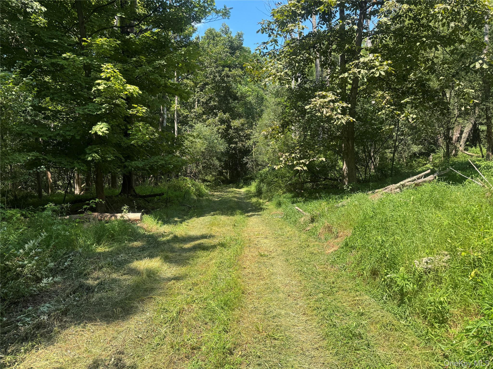 Rt-17 Out of NYC Goshen, NY 10940