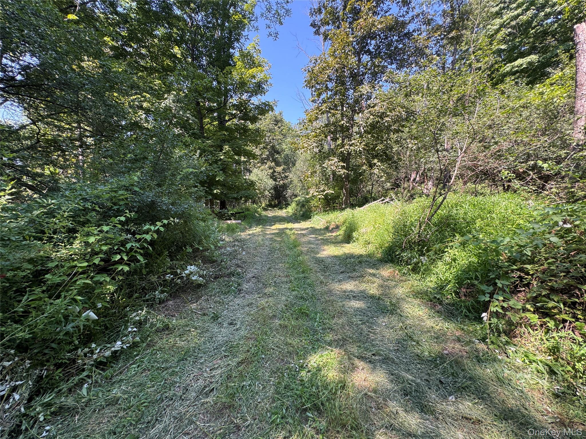 Rt-17 Out of NYC Goshen, NY 10940