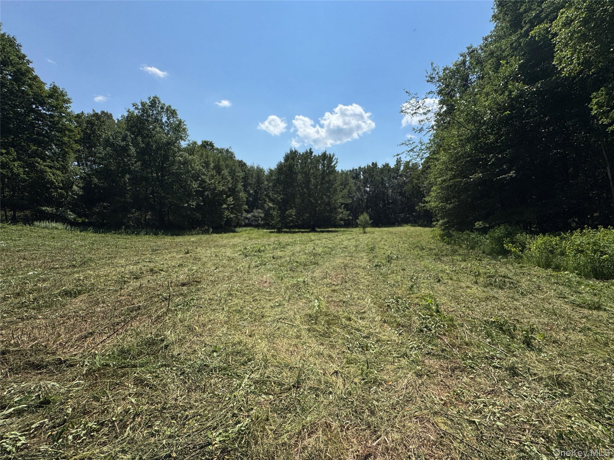 Rt-17 Out of NYC Goshen, NY 10940