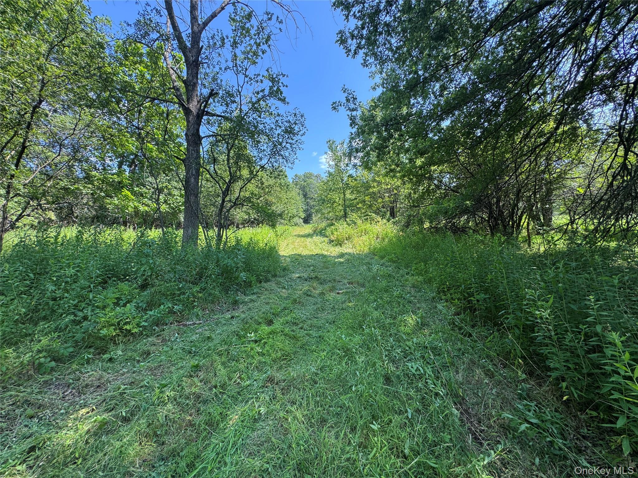 Rt-17 Out of NYC Goshen, NY 10940