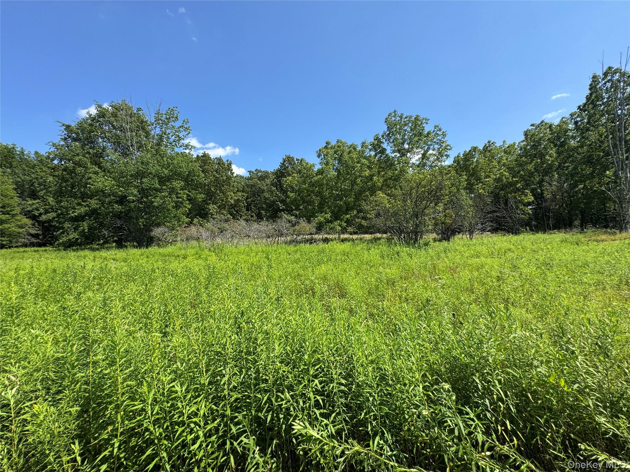 Rt-17 Out of NYC Goshen, NY 10940