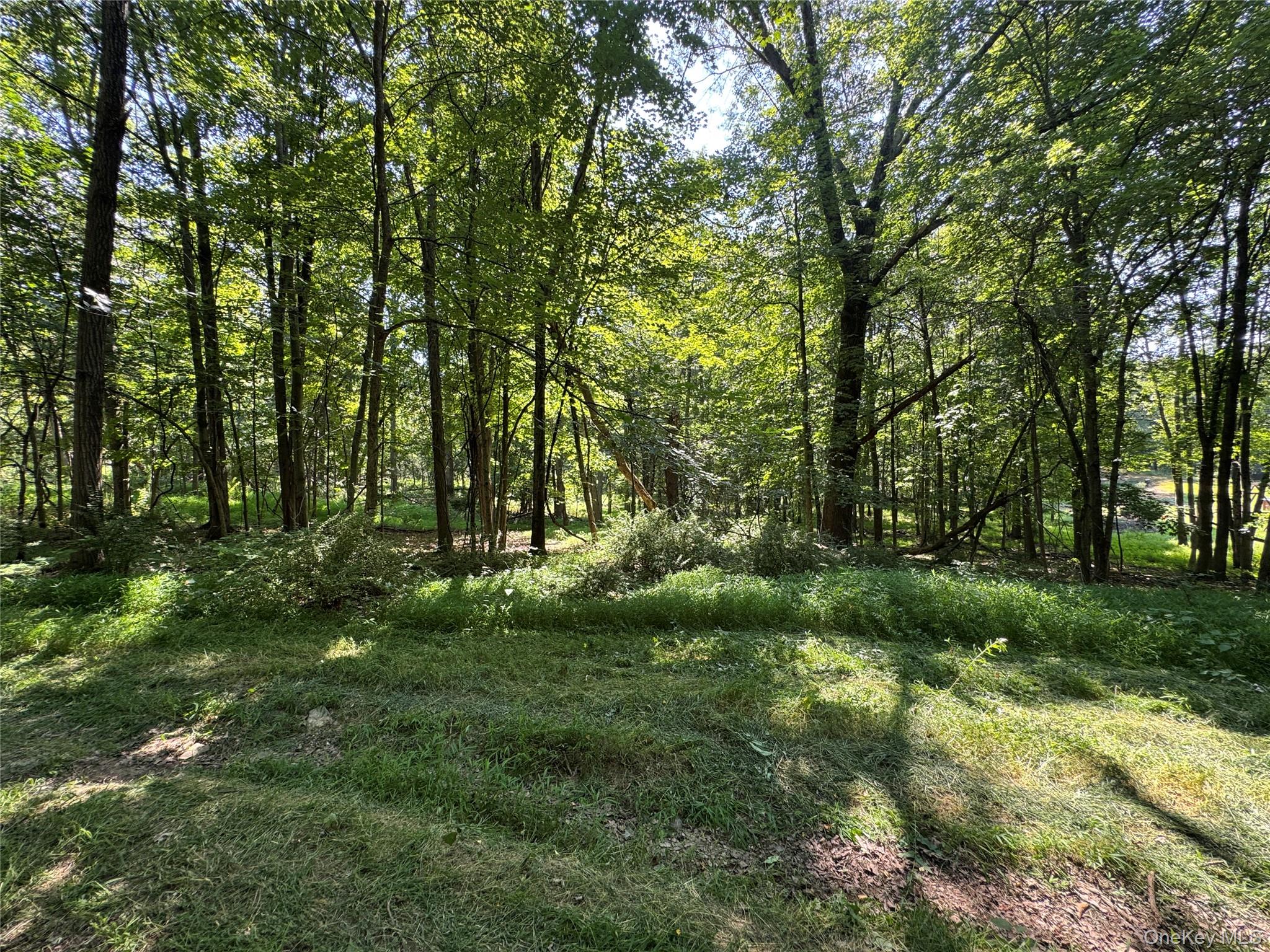 Rt-17 Out of NYC Goshen, NY 10940