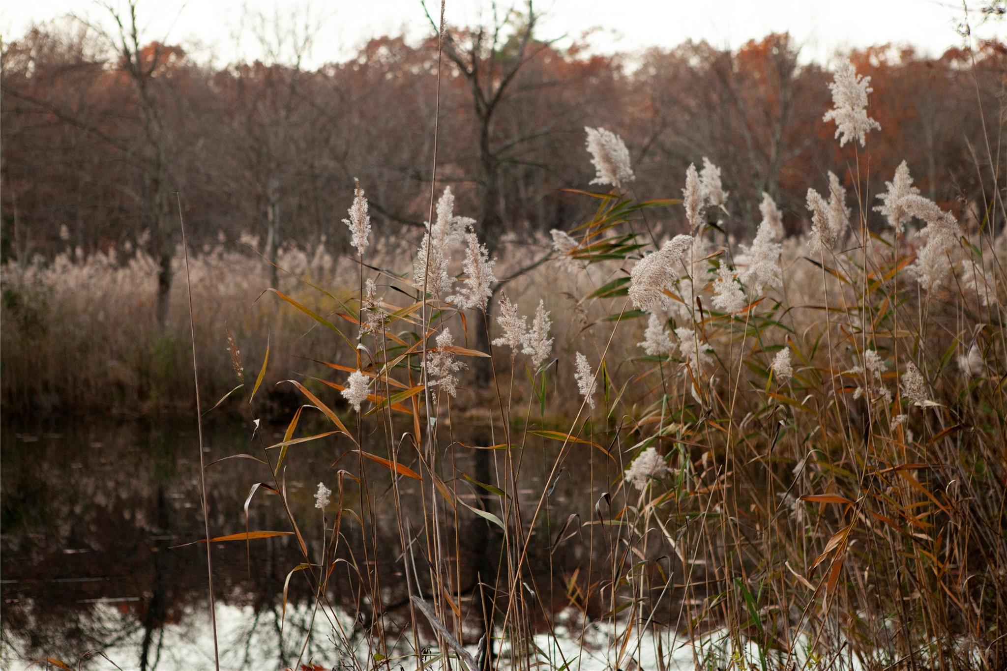 285 Sopak Road Out of NYC Elizaville NY 12523