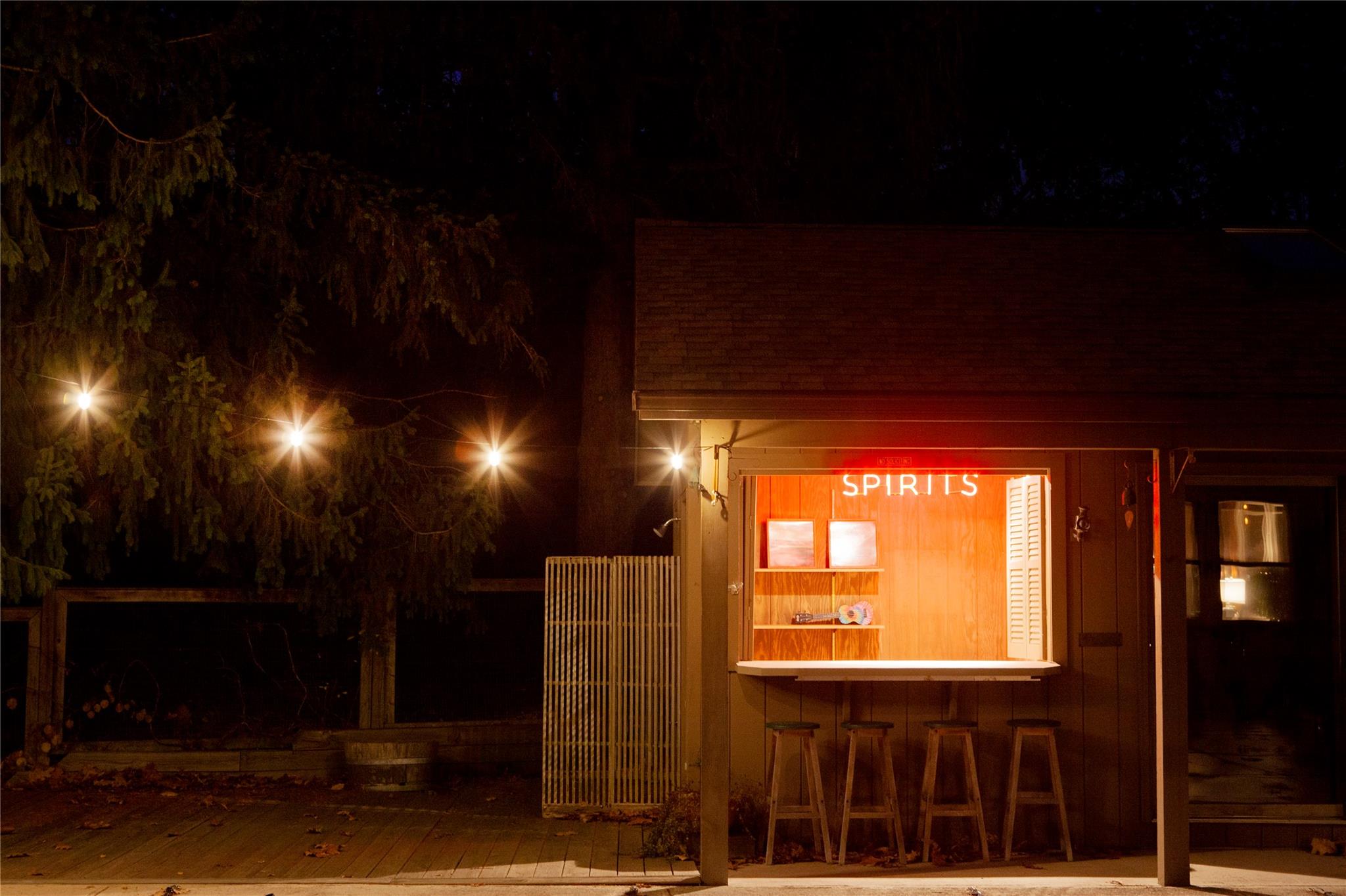 285 Sopak Road Out of NYC Elizaville NY 12523