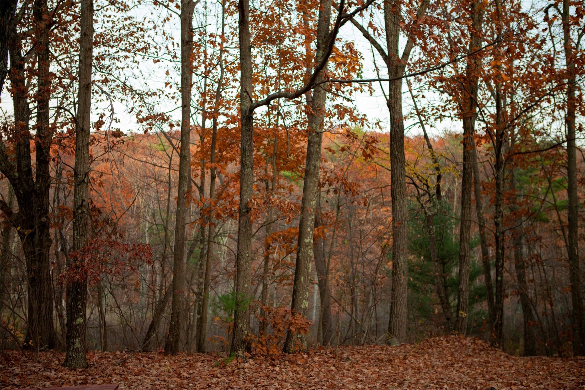 285 Sopak Road Out of NYC Elizaville NY 12523