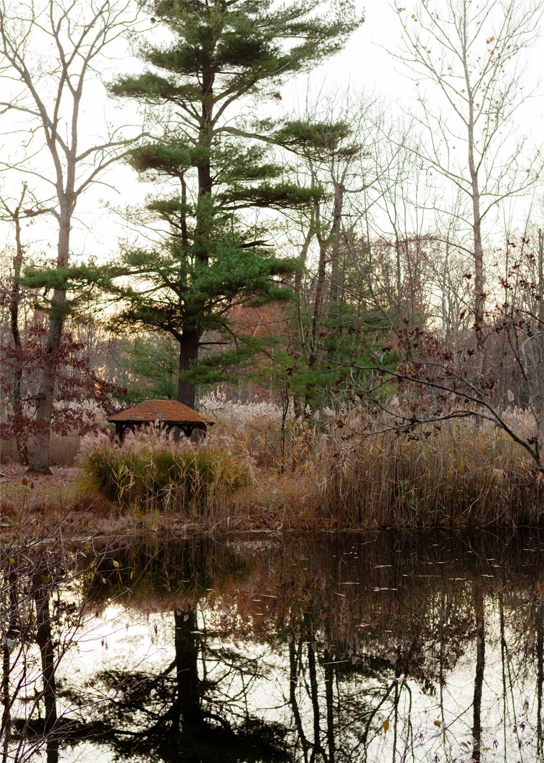 285 Sopak Road Out of NYC Elizaville NY 12523