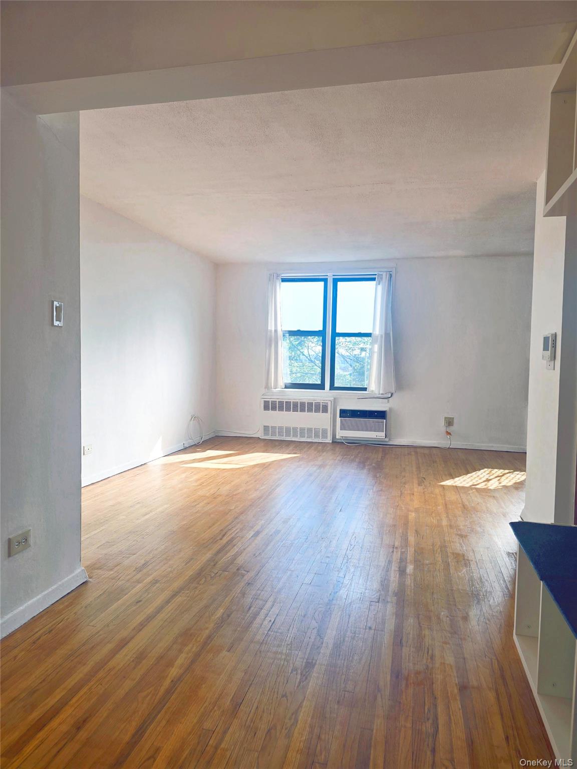 2015 Saint Paul Avenue 6-B Bronx, NY 10461