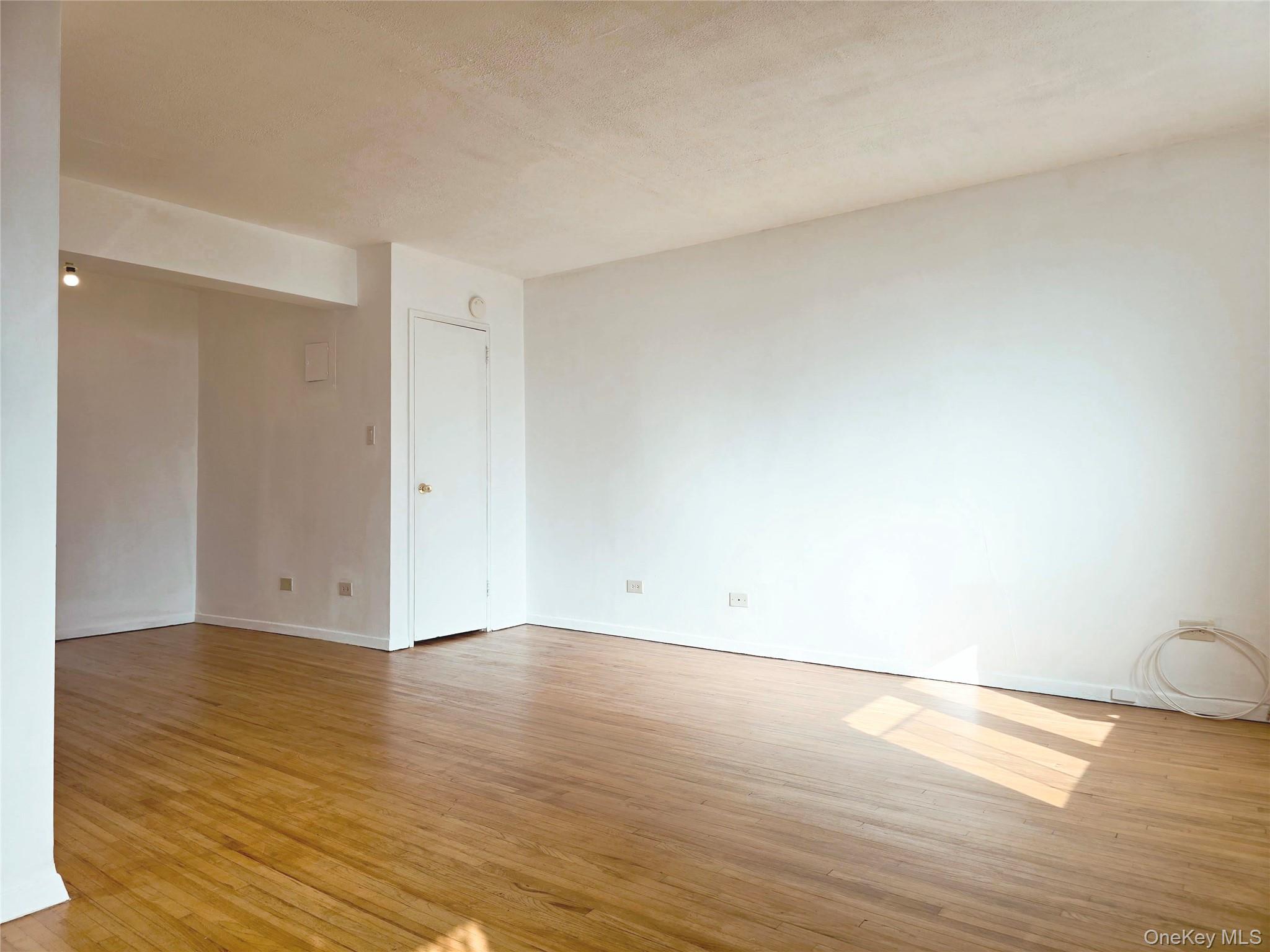 2015 Saint Paul Avenue 6-B Bronx, NY 10461