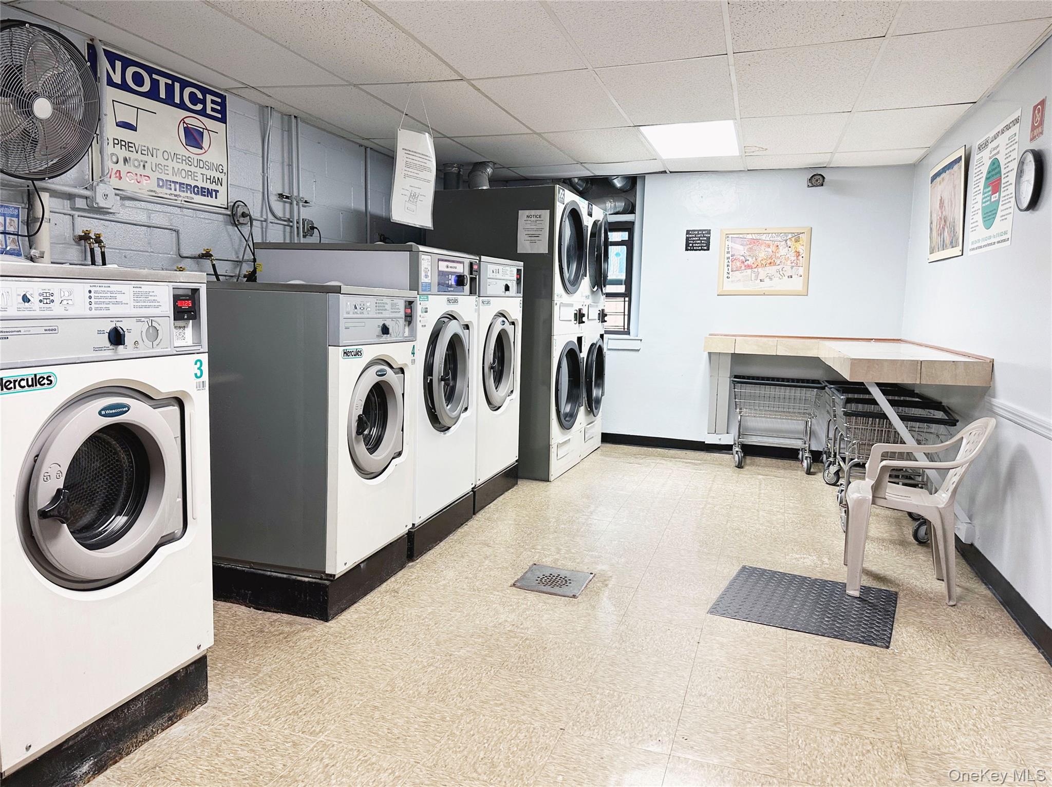 2015 Saint Paul Avenue 6-B Bronx, NY 10461