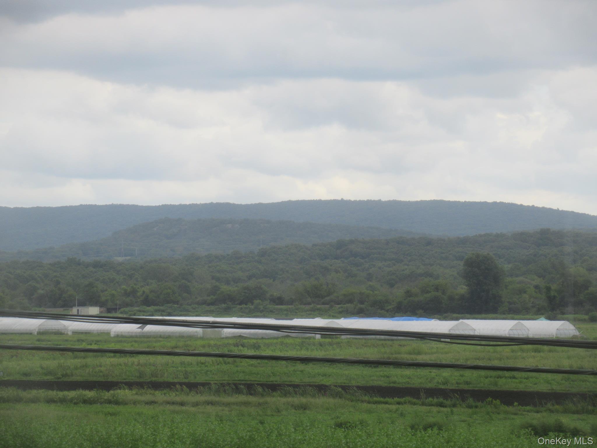 33 Meadow Avenue Out of NYC Chester, NY 10918