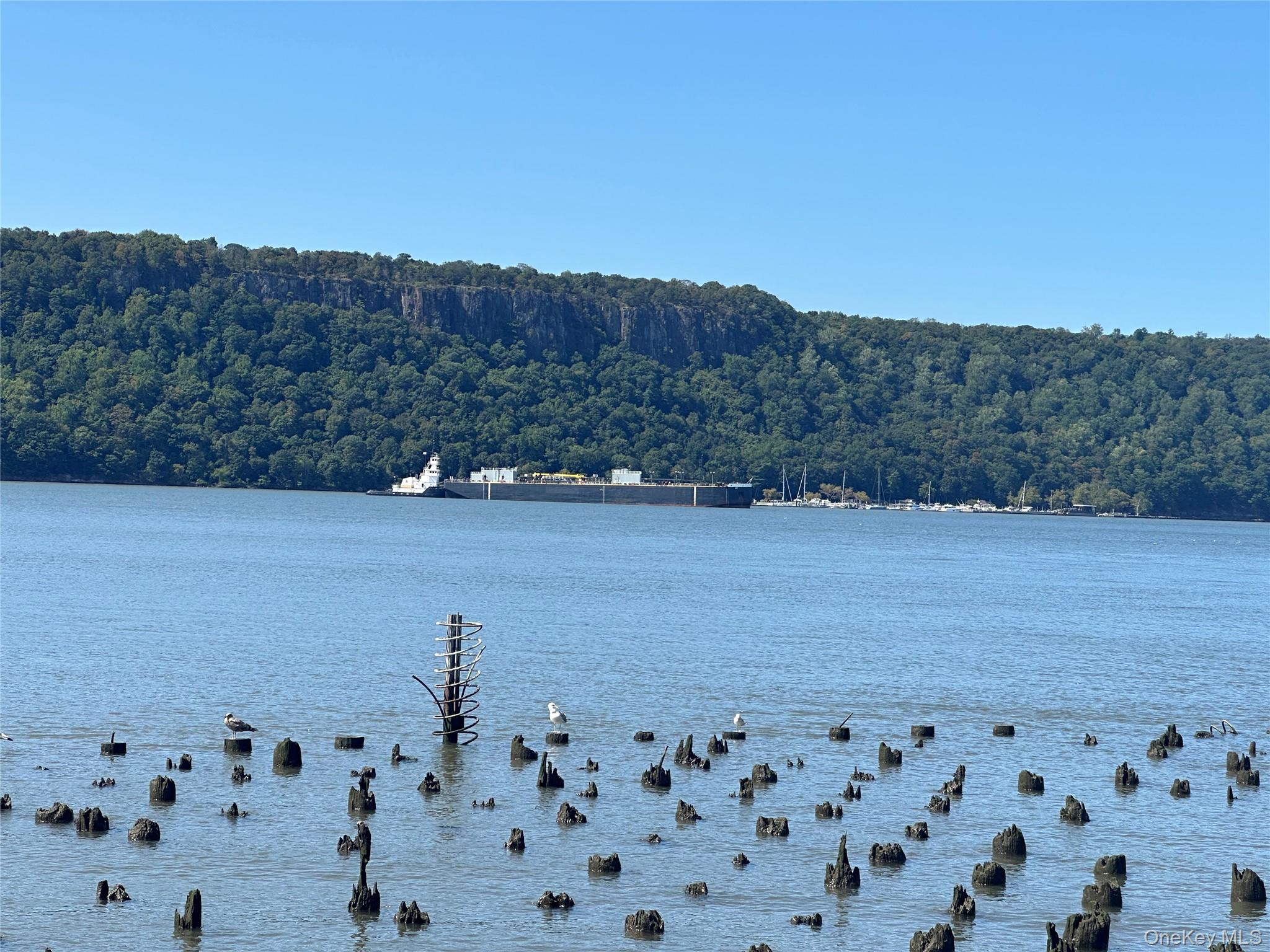 23 Water Grant Street 11-A Yonkers Yonkers, NY 10701