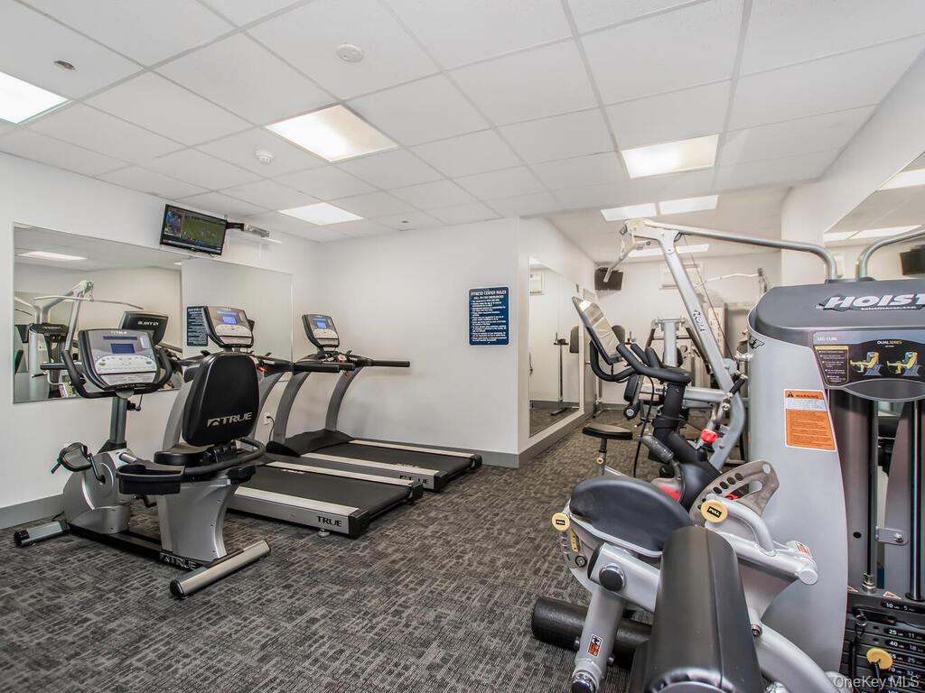 23 Water Grant Street 11-A Yonkers Yonkers, NY 10701