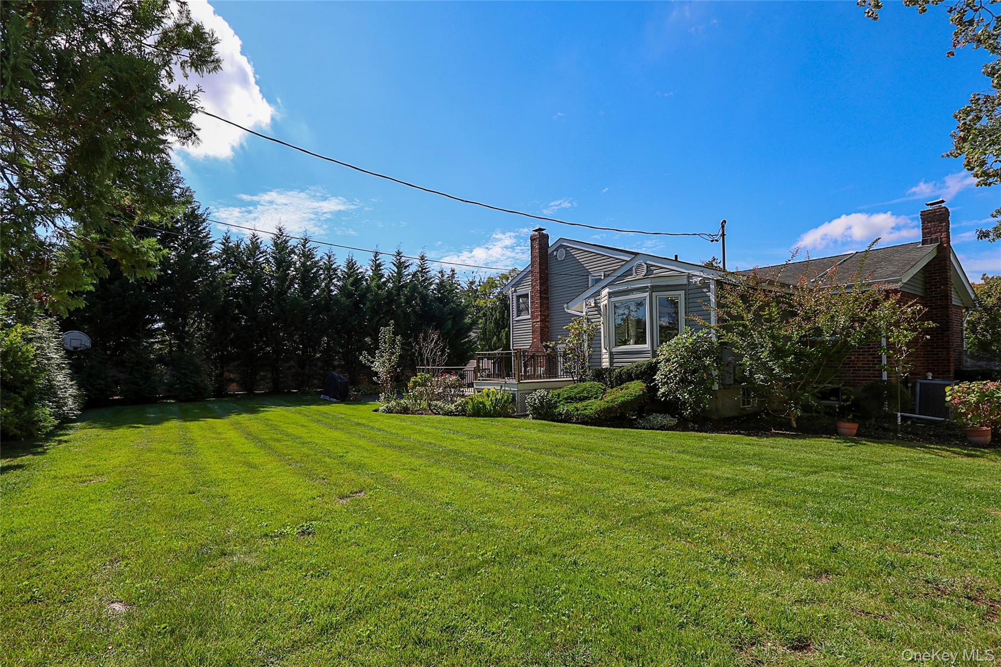 6 Lewis Avenue Jericho Jericho, NY 11753