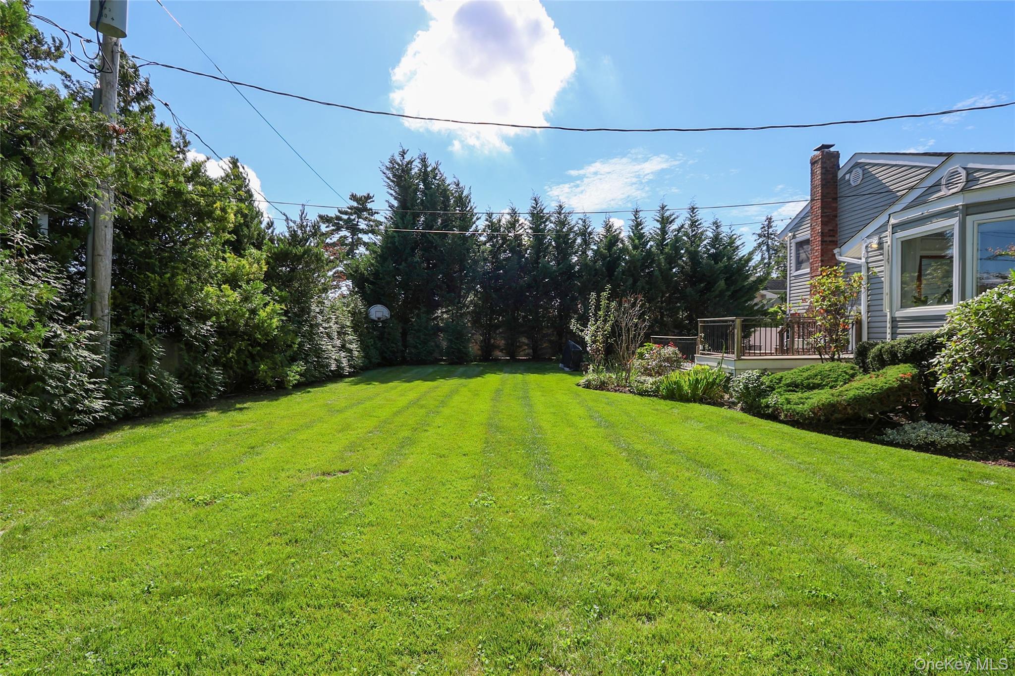 6 Lewis Avenue Jericho Jericho, NY 11753