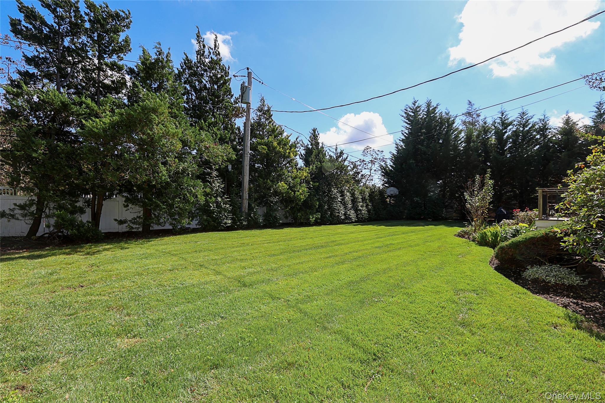 6 Lewis Avenue Jericho Jericho, NY 11753