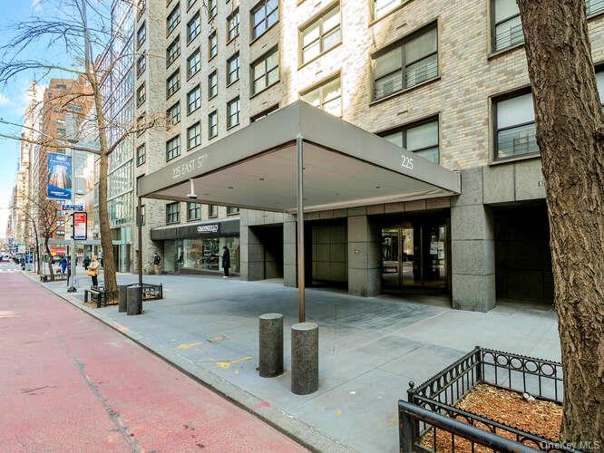225 East 57th Street 1-L New York , NY 10022