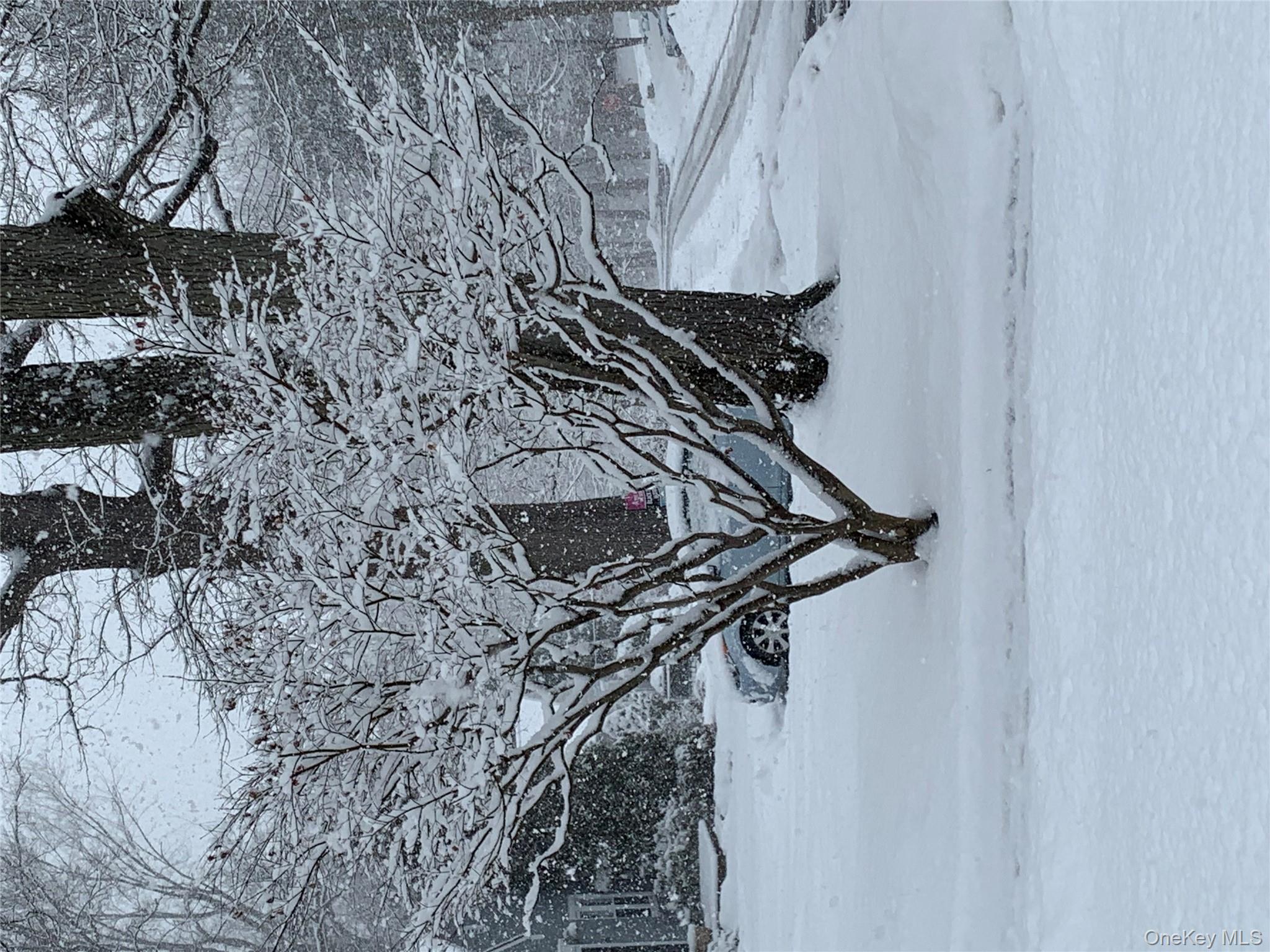 110 Topland Road White Plains White Plains, NY 10605