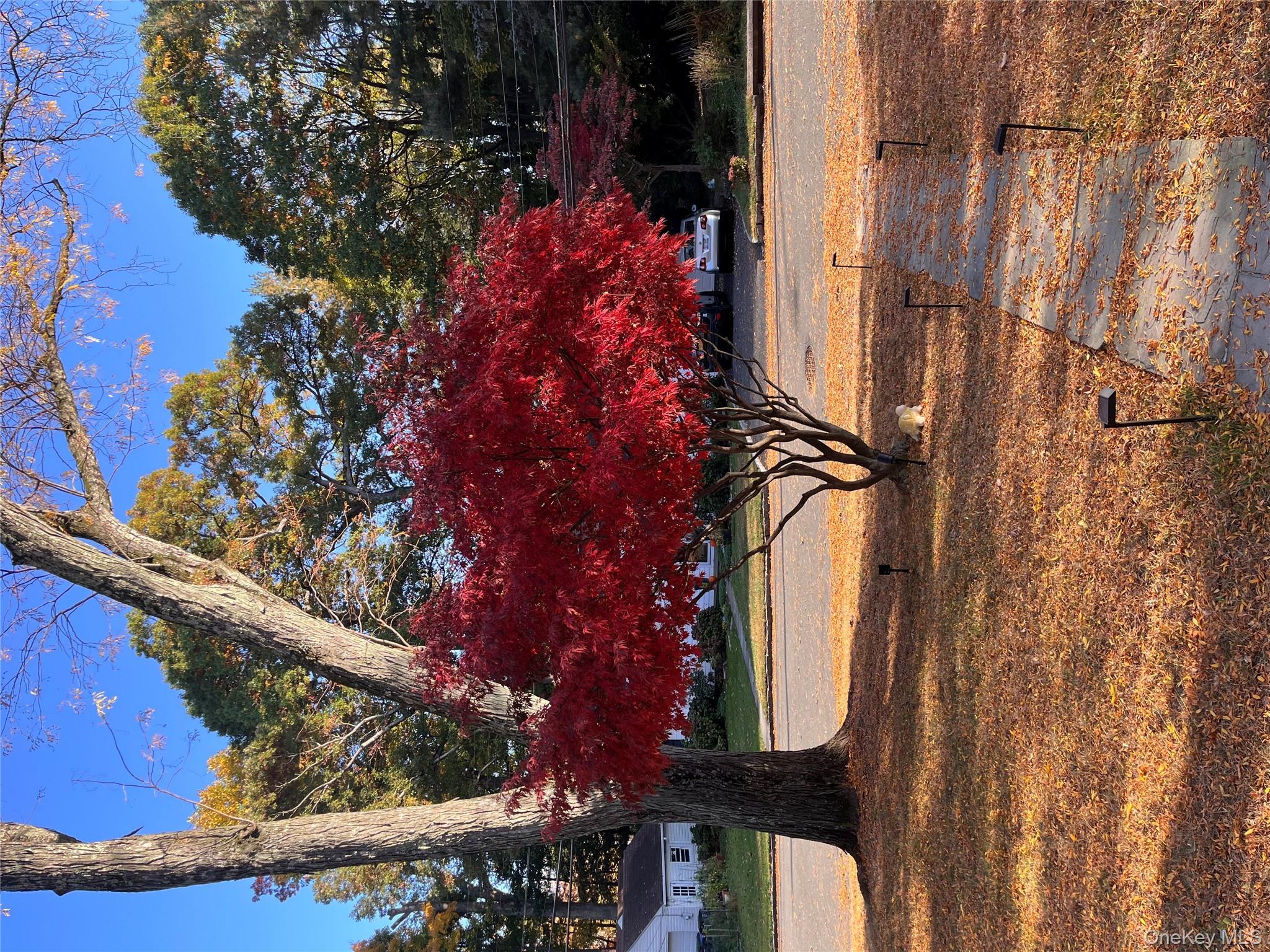 110 Topland Road White Plains White Plains, NY 10605