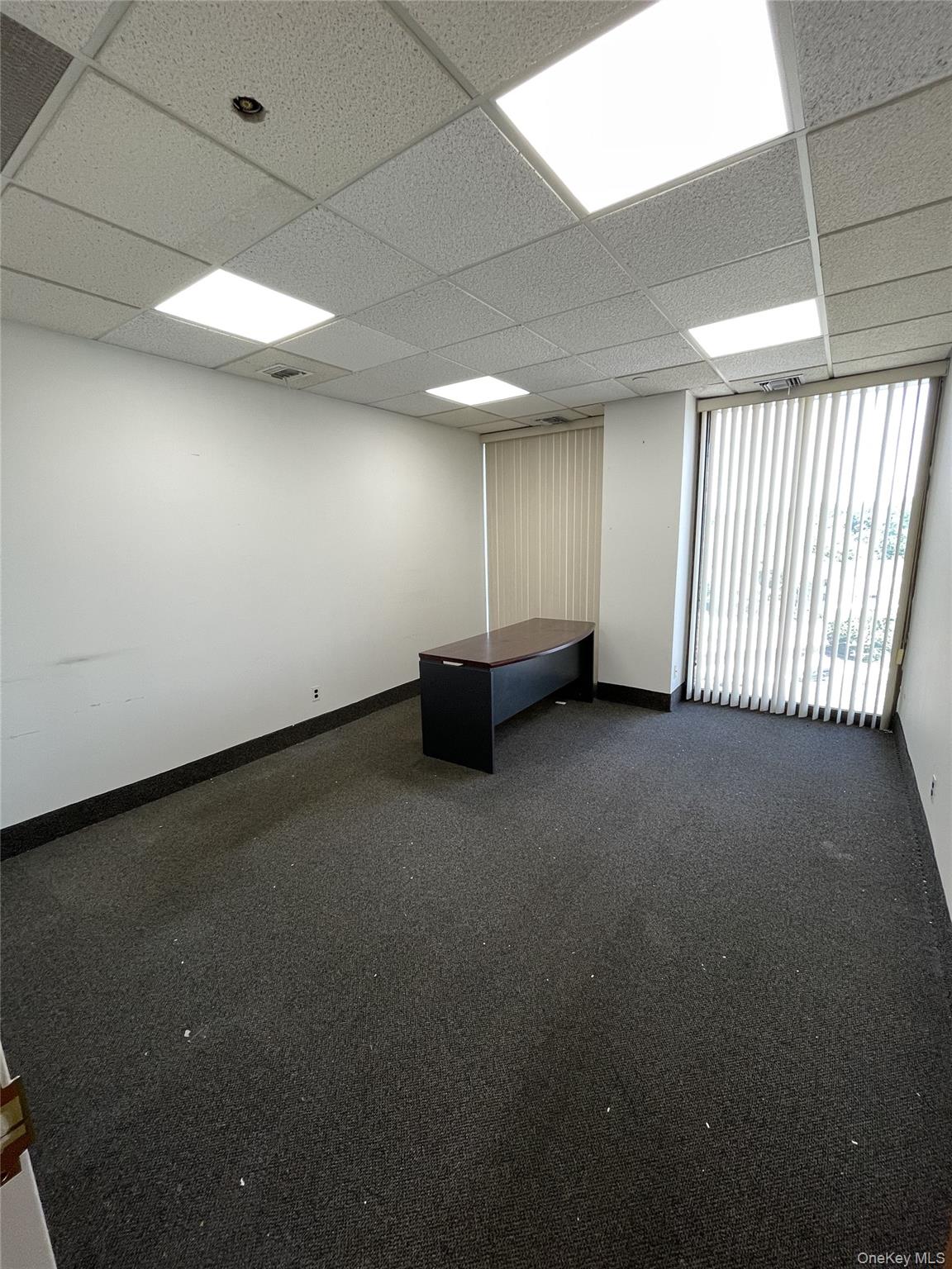 107 N Boulevard 410 Great Neck Great Neck, NY 11021