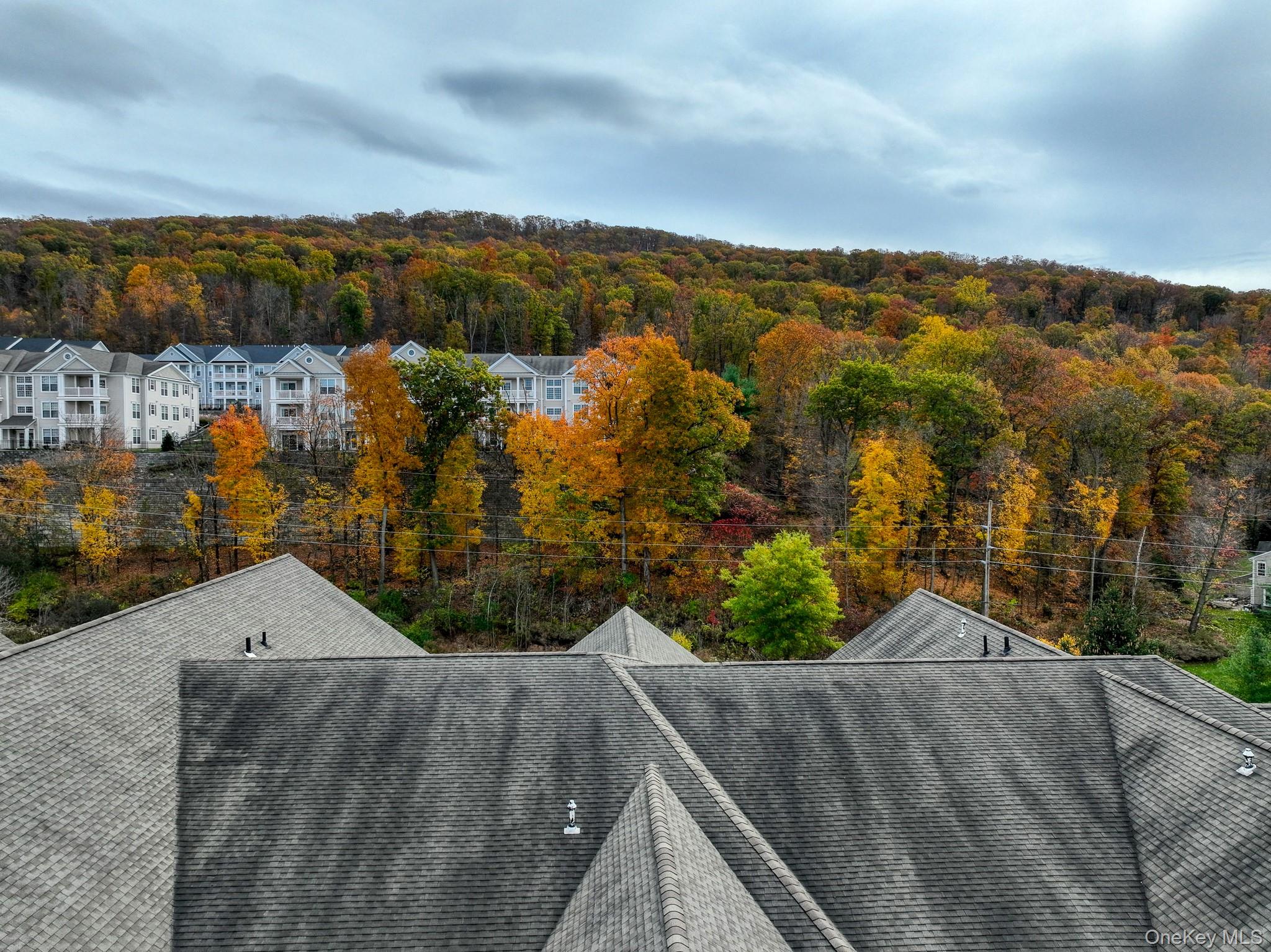 919 Saratoga Lane Out of NYC Fishkill, NY 12524