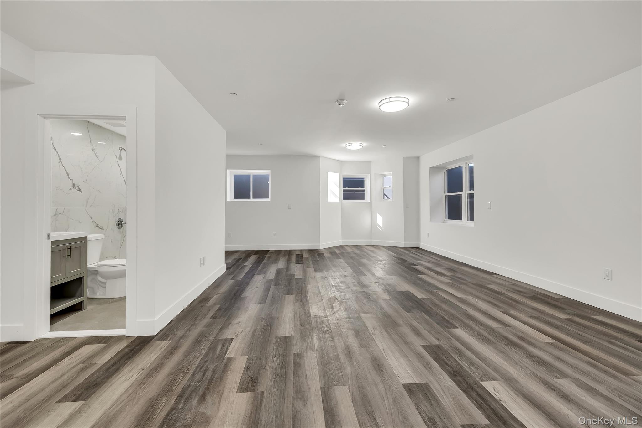 533 Greenwich Street Lower Level Hempstead Hempstead NY 11550