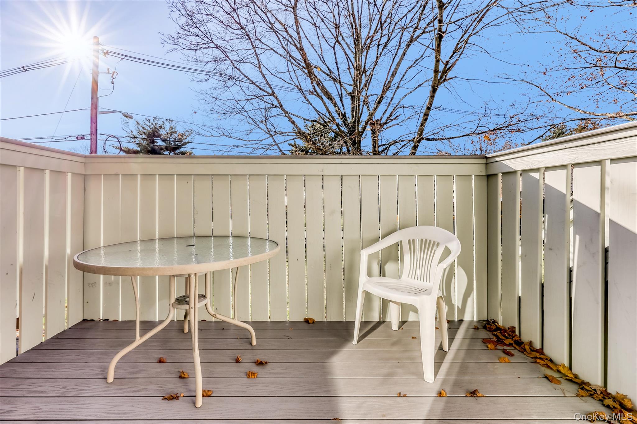 23 Gladys Drive Out of NYC Spring Valley, NY 10977