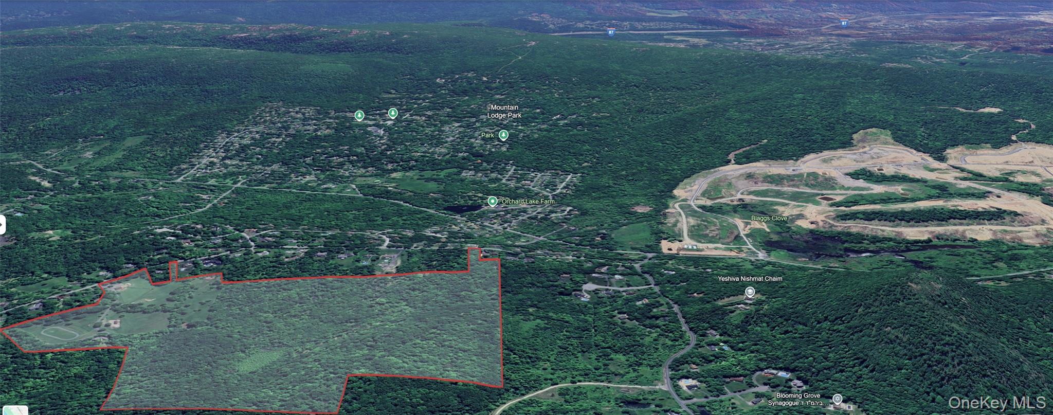 20 Loyee Lane Out of NYC Blooming Grove, NY 10992