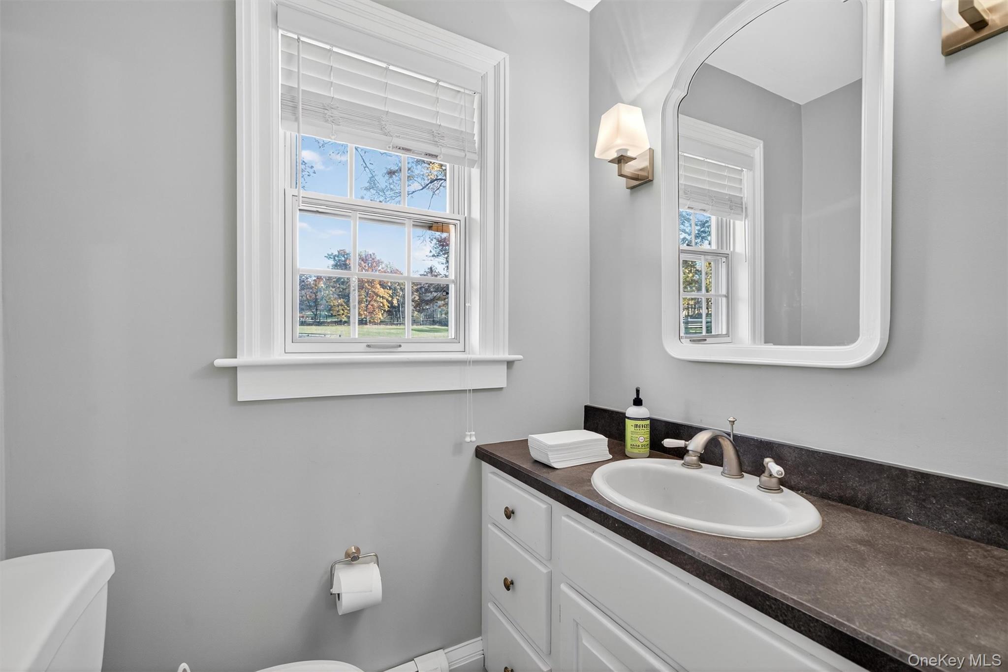 20 Loyee Lane Out of NYC Blooming Grove, NY 10992