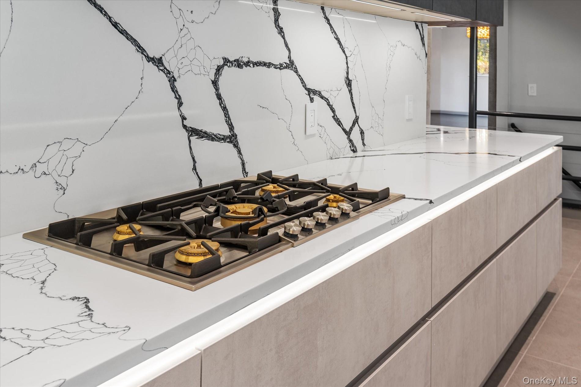 369 East Shore Road Great Neck Great Neck, NY 11024