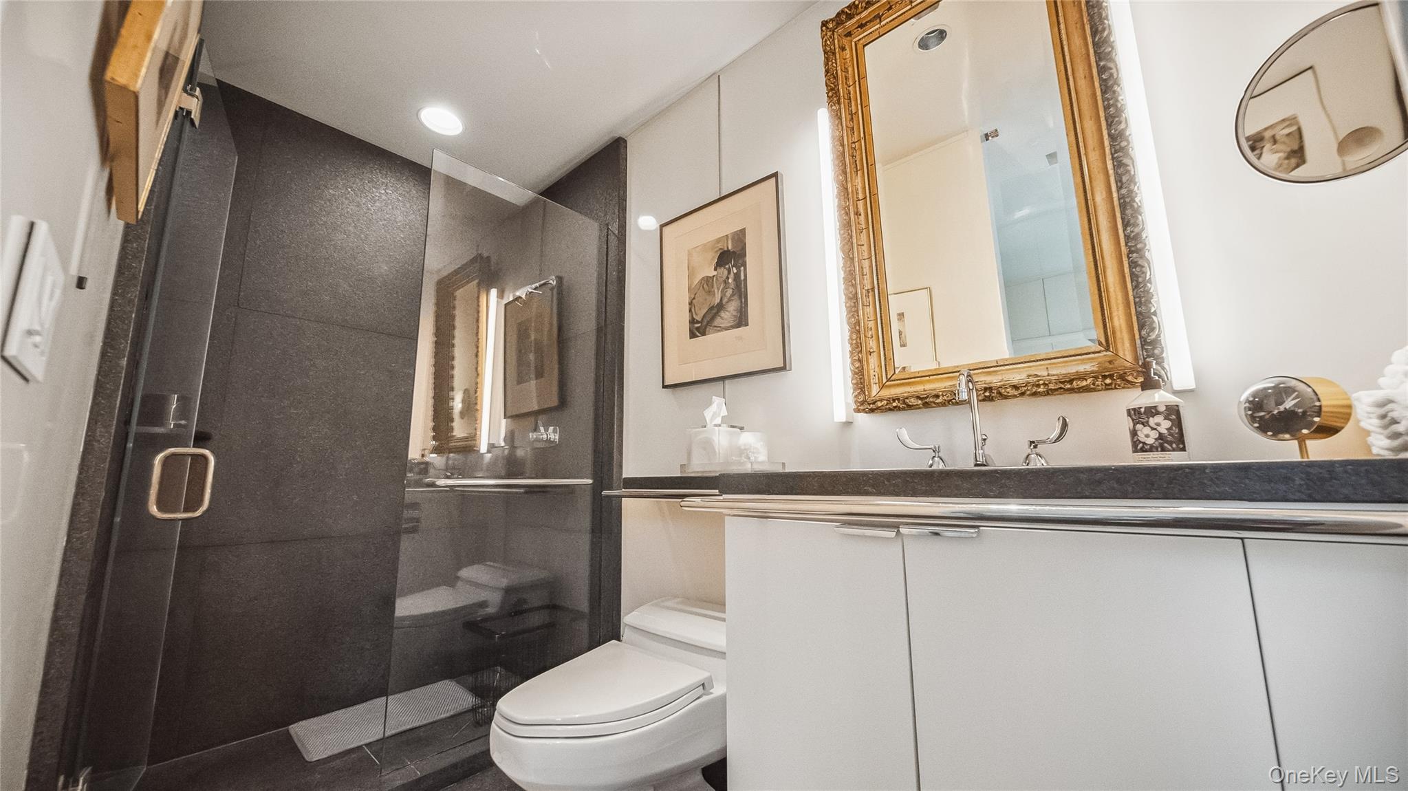 7 Folie Court Manhasset Manhasset, NY 11030