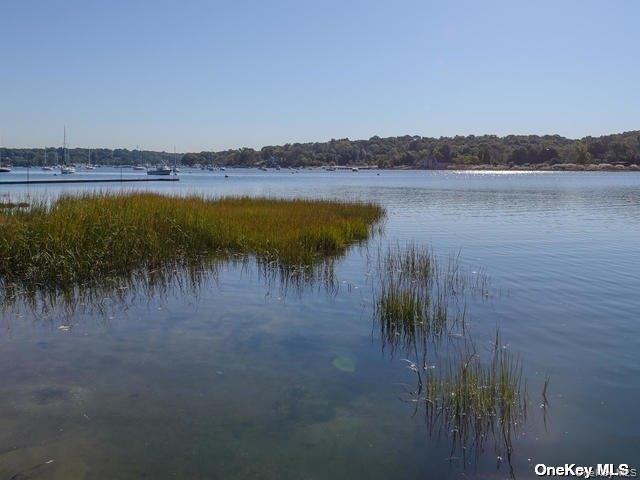 1 Pine Point Lloyd Harbor Lloyd Harbor, NY 11743