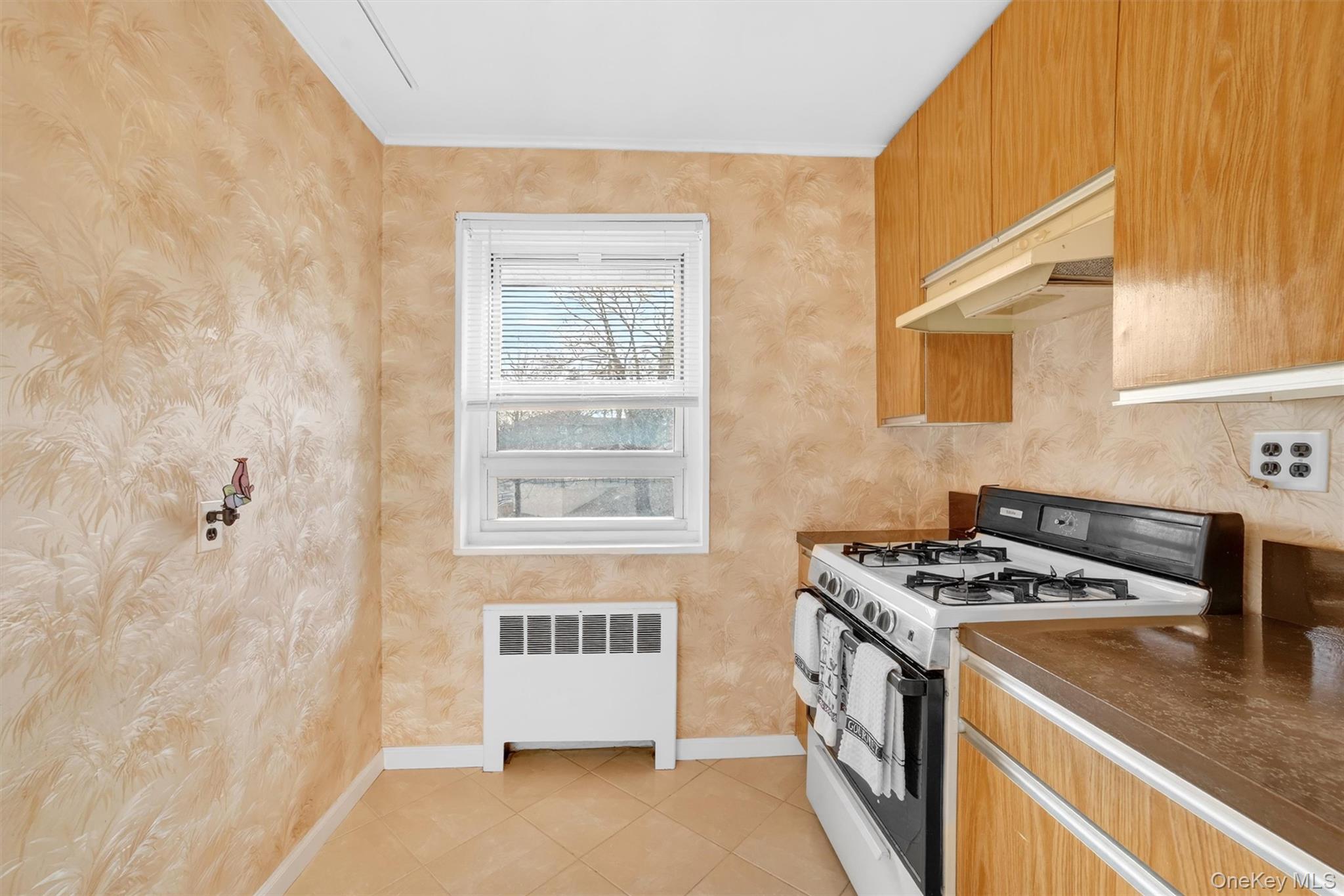 10 Dehaven Drive 2-D Yonkers Yonkers, NY 10703