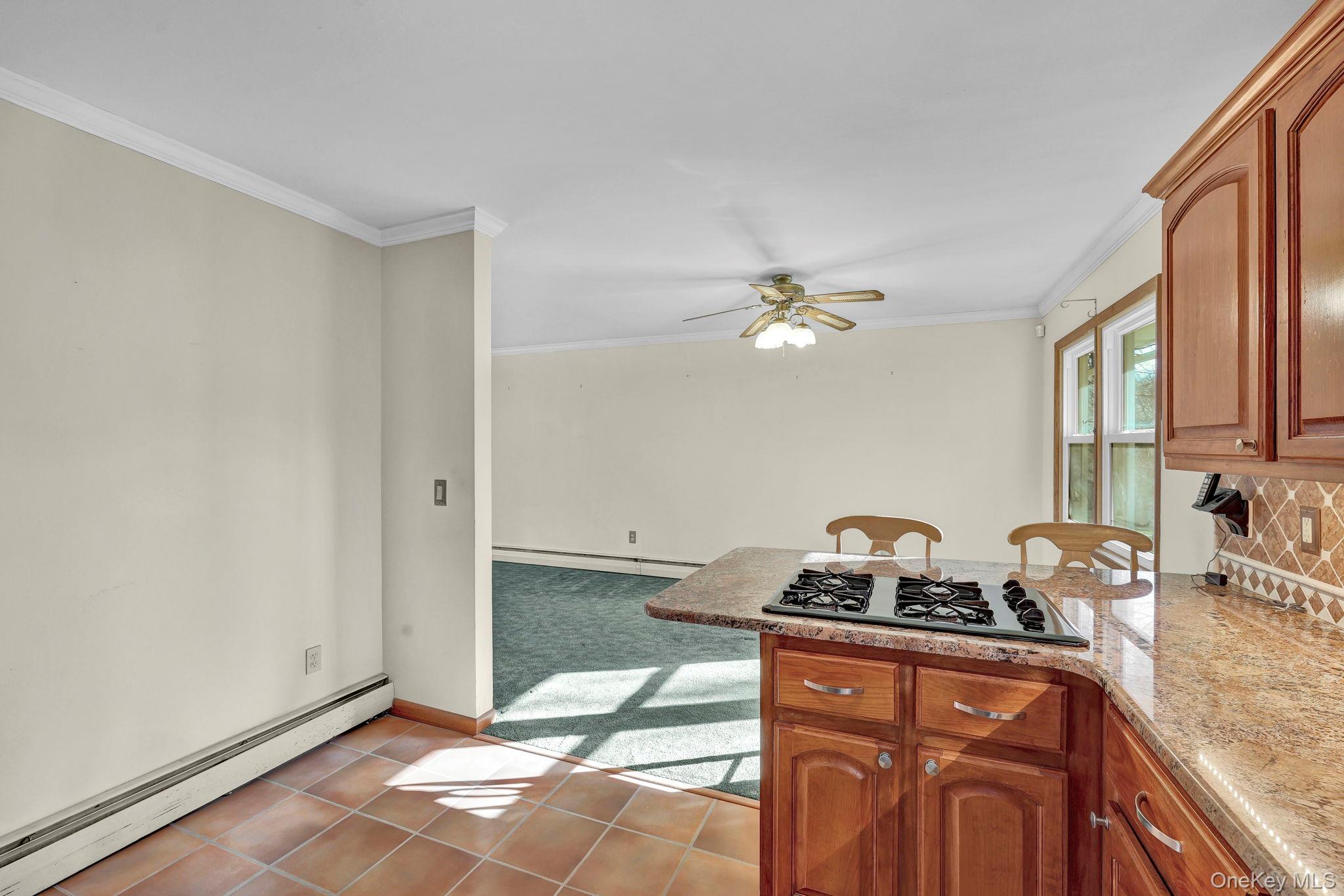 21 California Drive Out of NYC Middletown, NY 10940