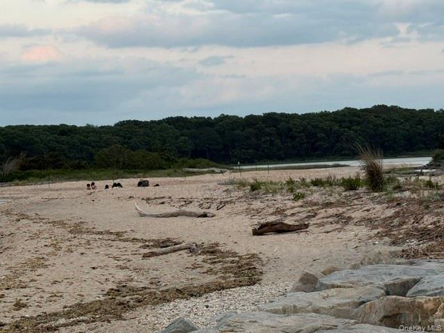 25 Miami Avenue Peconic Peconic, NY 11958