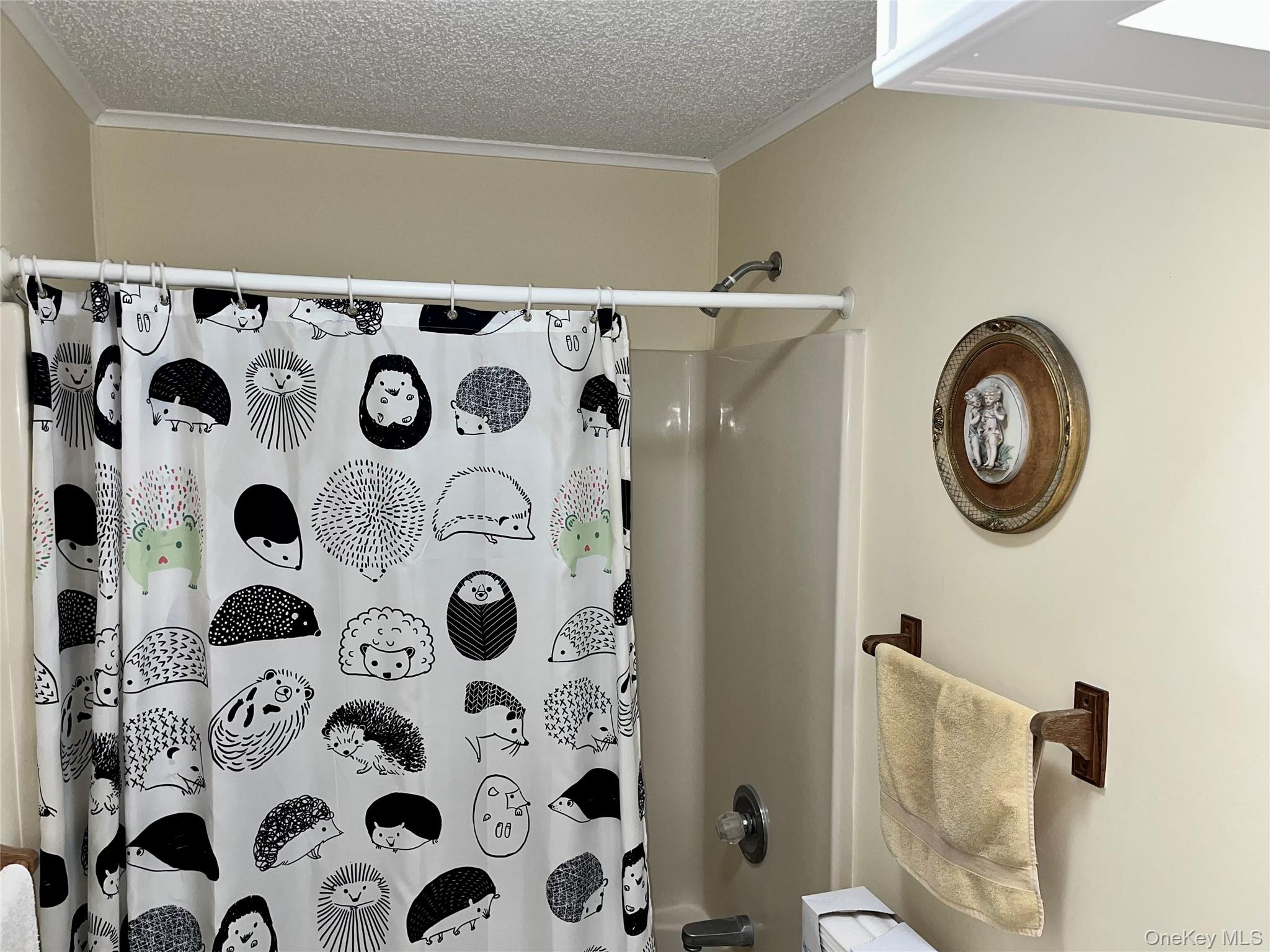 105 North Mountainview MH Out of NYC Stony Point, NY 10950