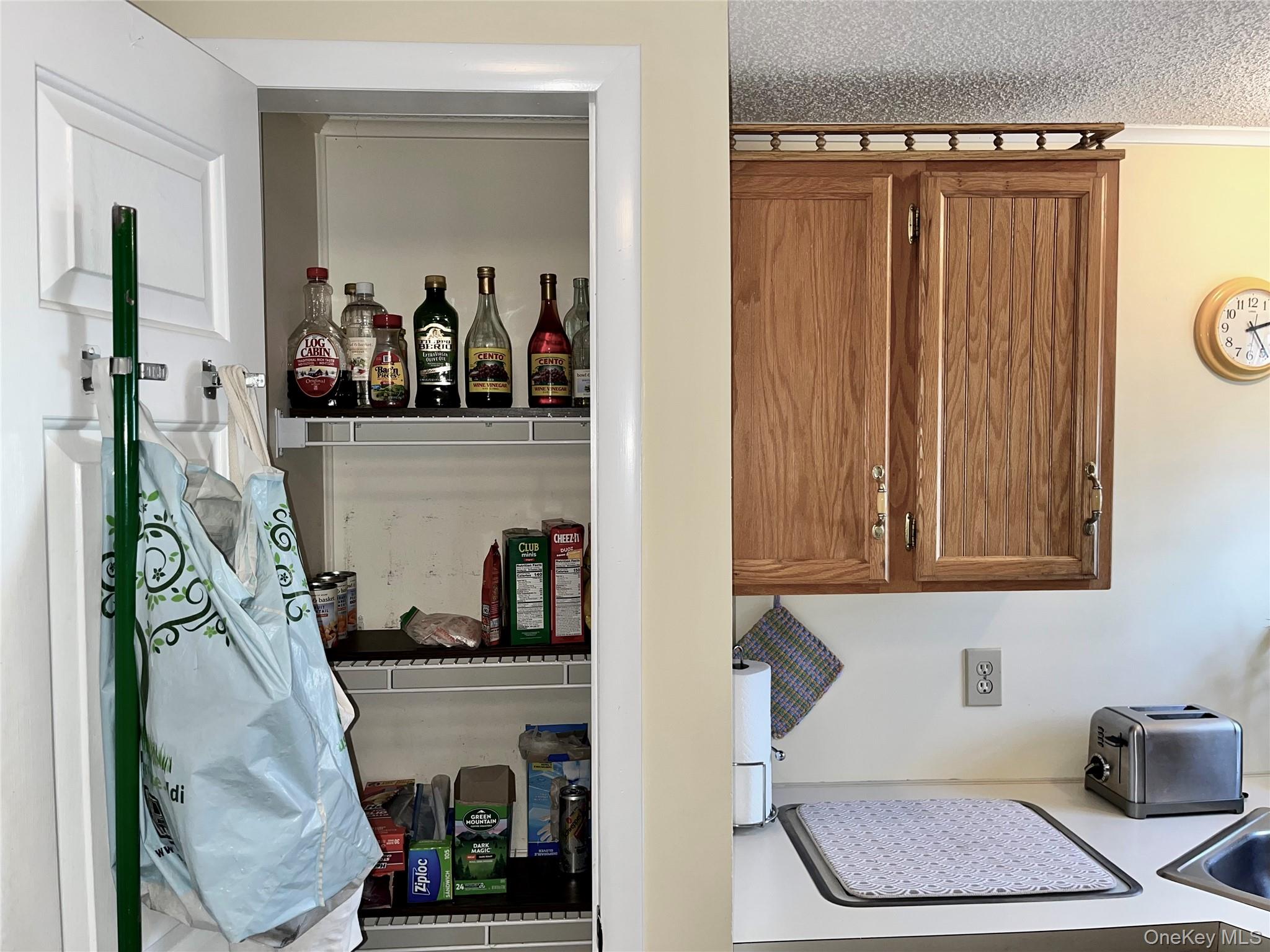 105 North Mountainview MH Out of NYC Stony Point, NY 10950