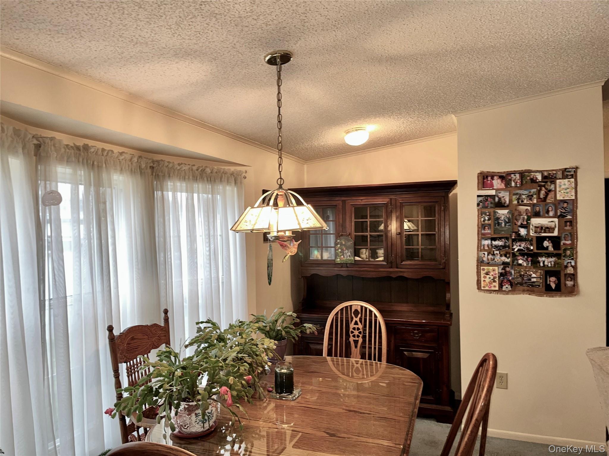 105 North Mountainview MH Out of NYC Stony Point, NY 10950