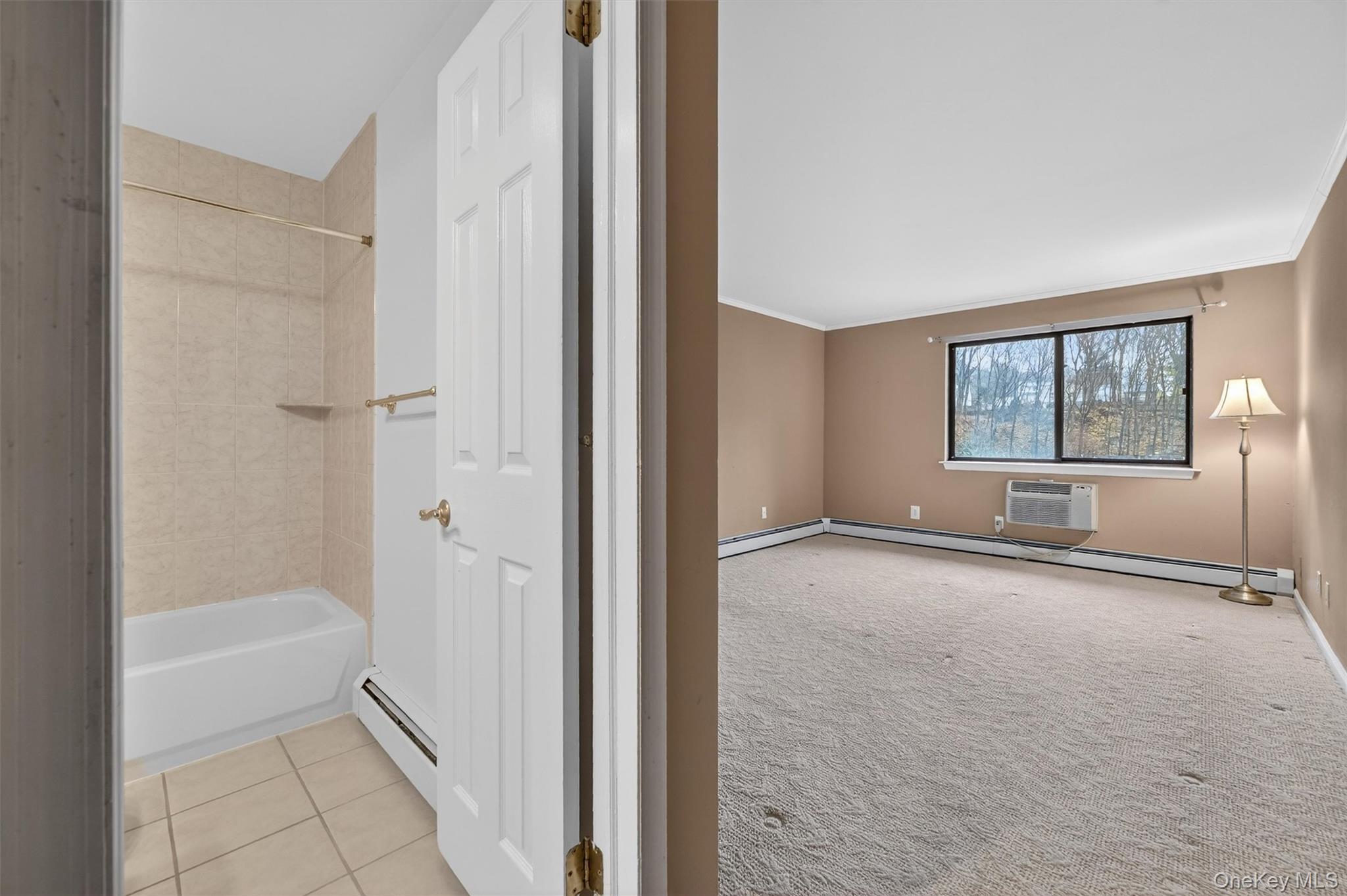 7 Briarcliff Drive S 13 Ossining Ossining, NY 10562