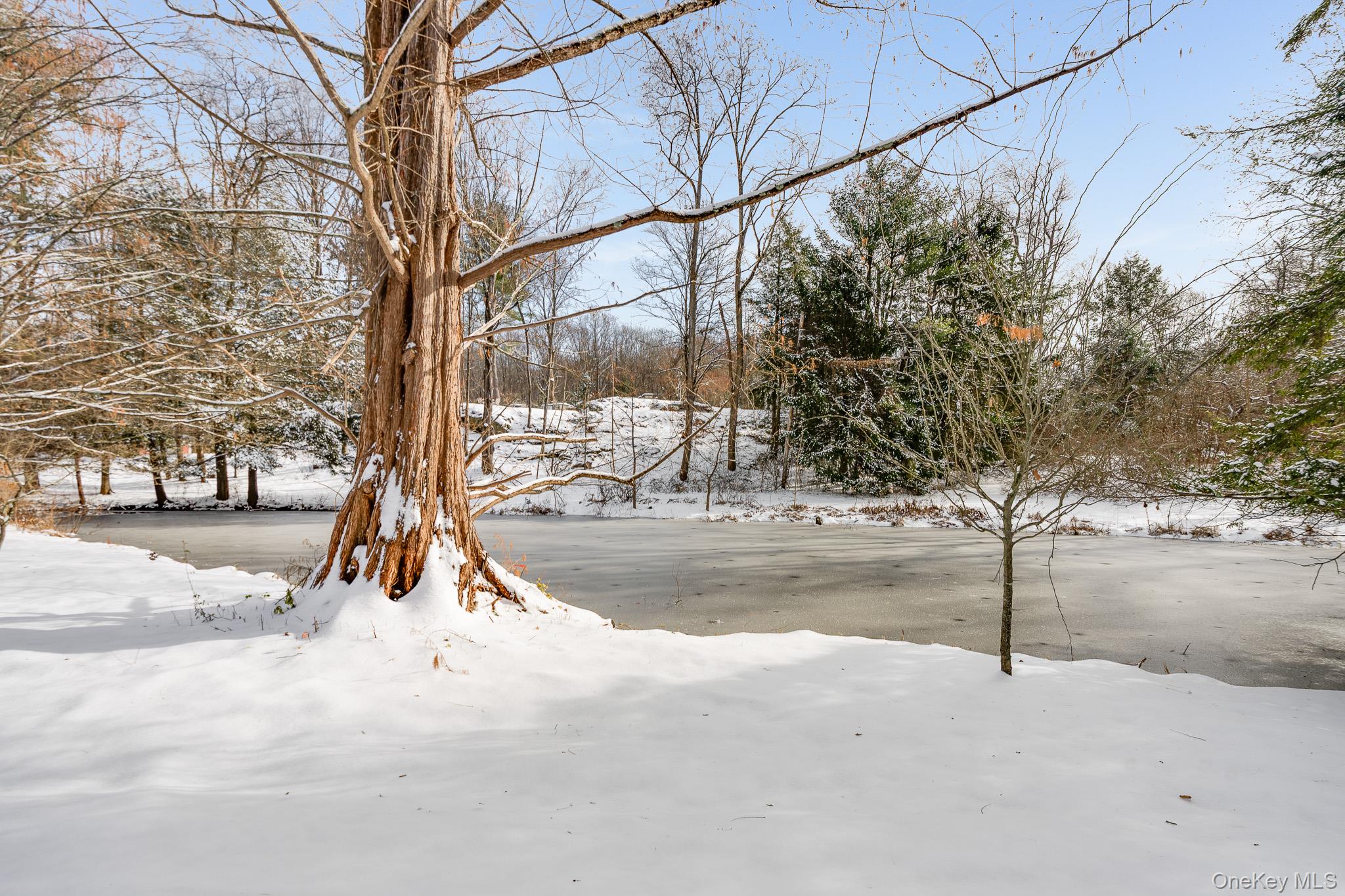 104 S Quaker Lane Out of NYC Hyde Park, NY 12538