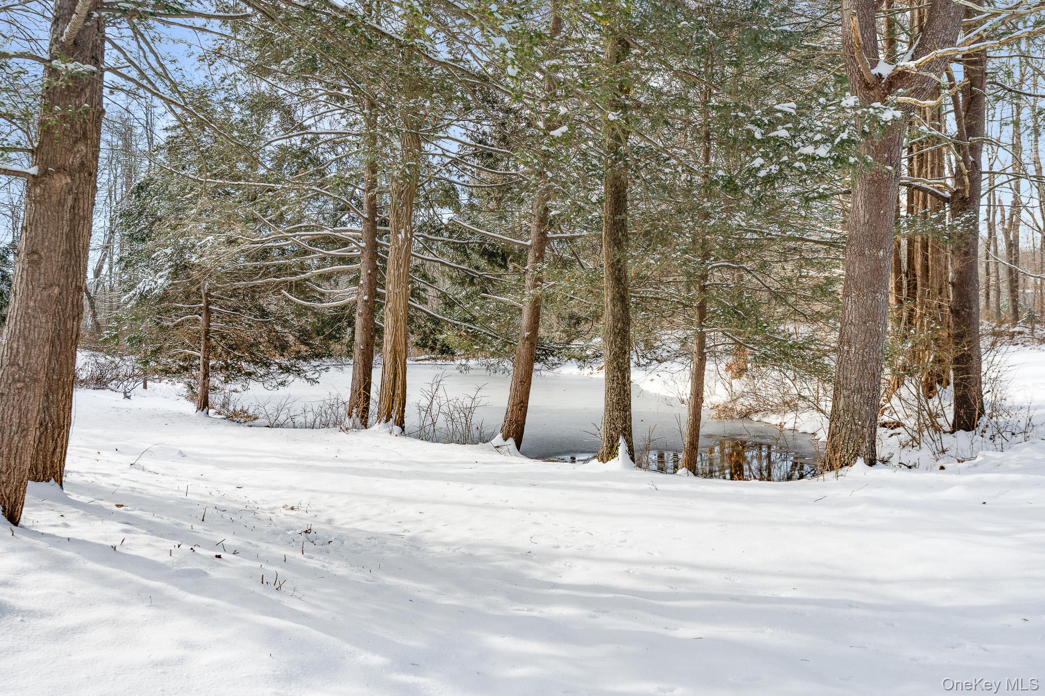 104 S Quaker Lane Out of NYC Hyde Park, NY 12538