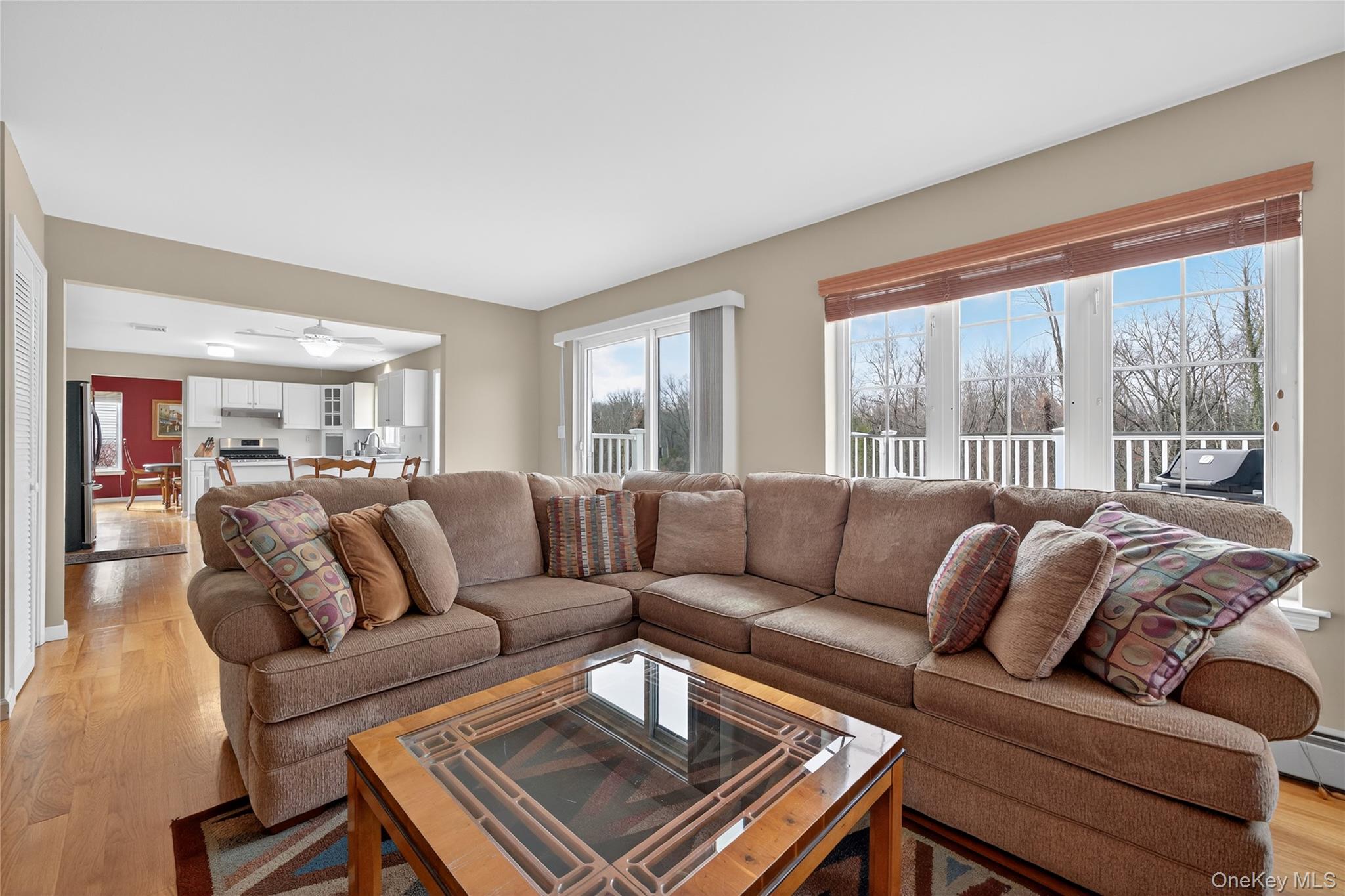 15 Aquarius Street Out of NYC Monroe, NY 10950