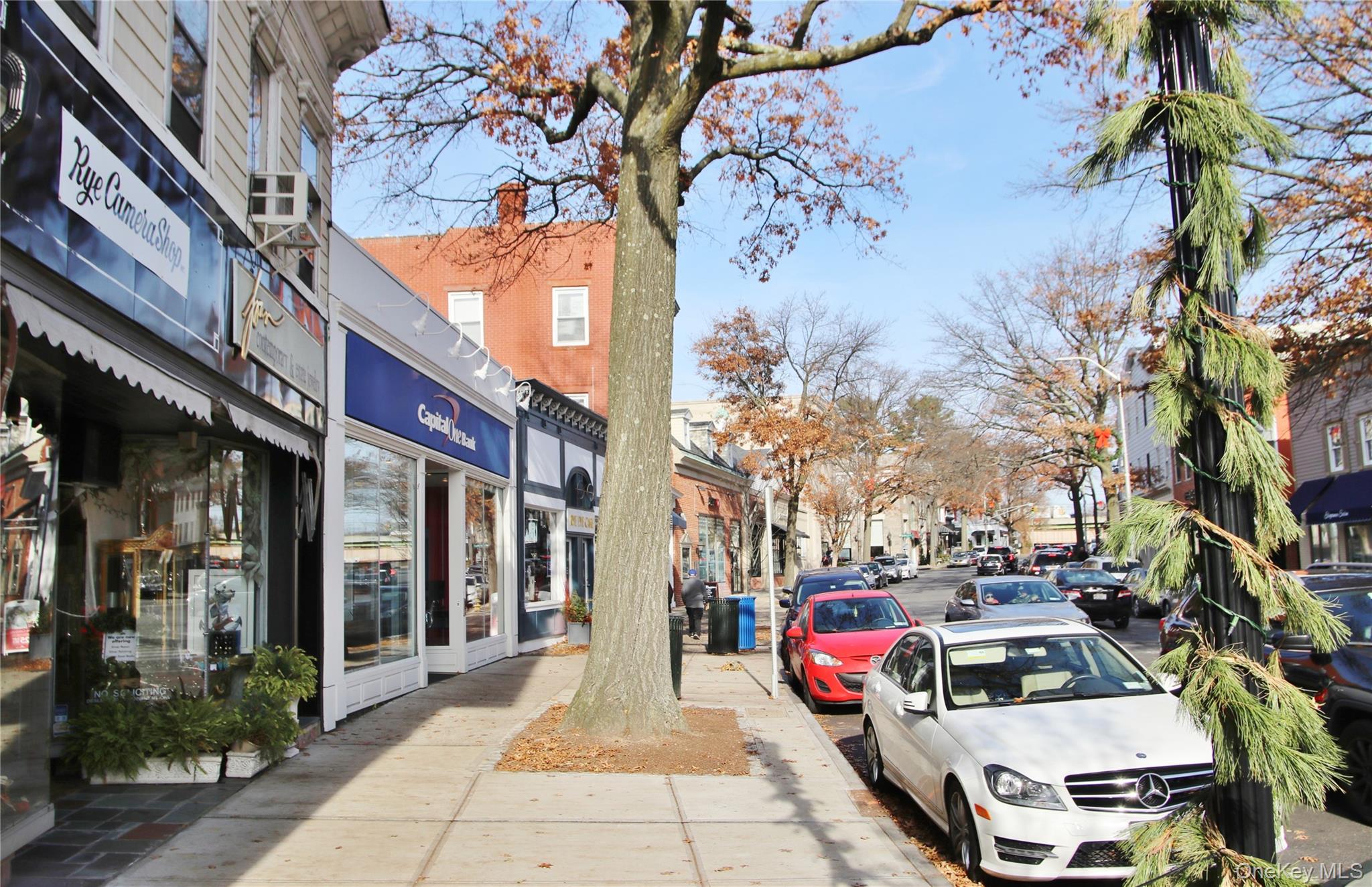 39 Avon Circle B Rye Brook Rye Brook, NY 10573