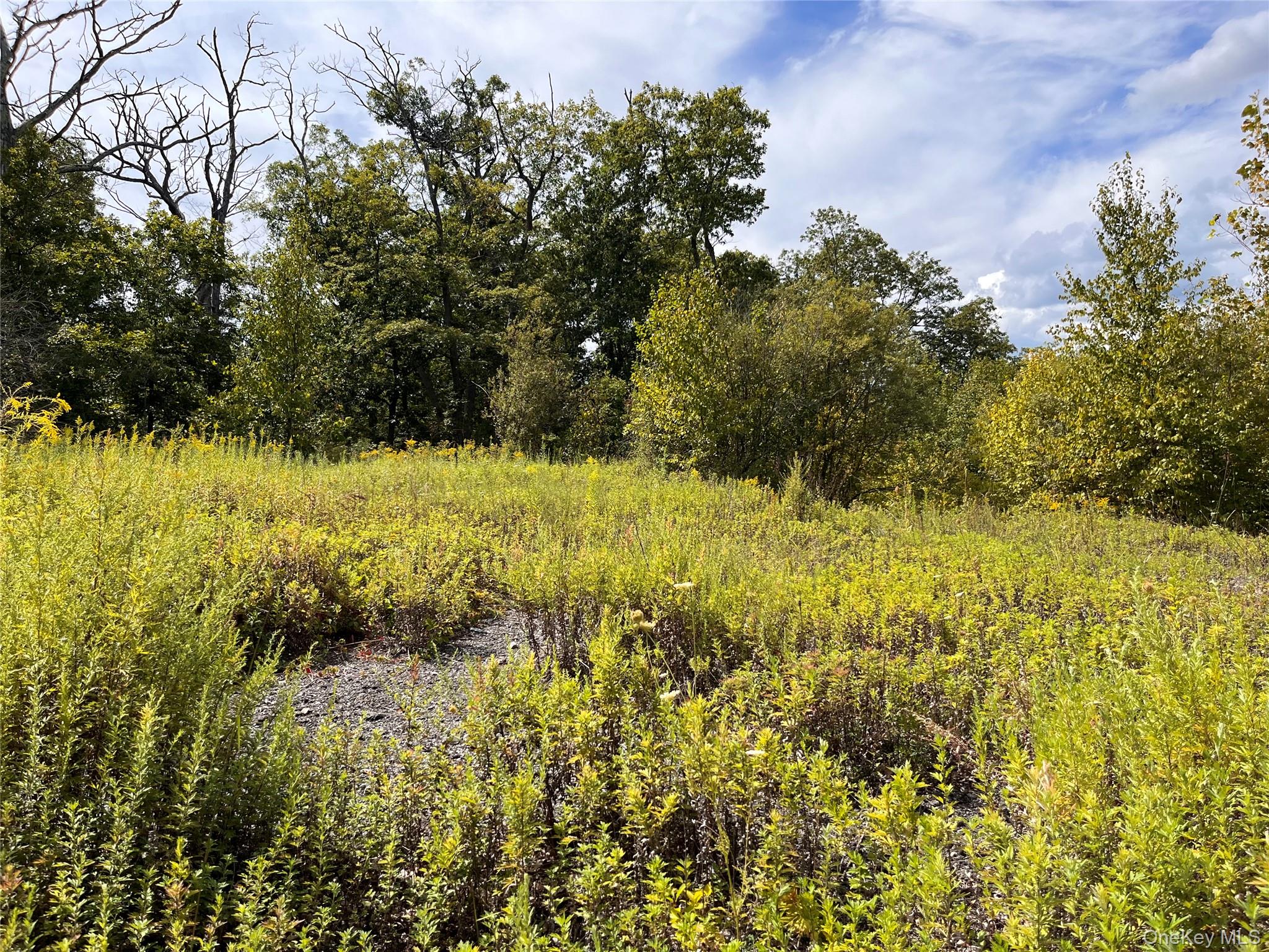 31 Ridgecrest Road Out of NYC Lake Peekskill, NY 10537