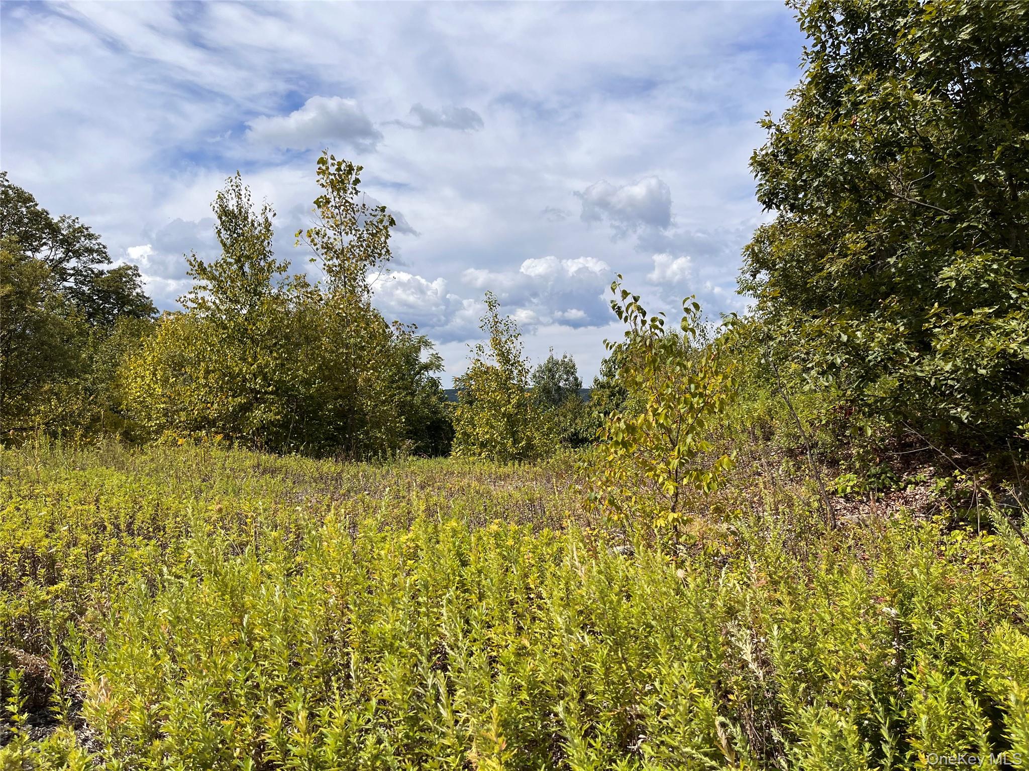 31 Ridgecrest Road Out of NYC Lake Peekskill, NY 10537