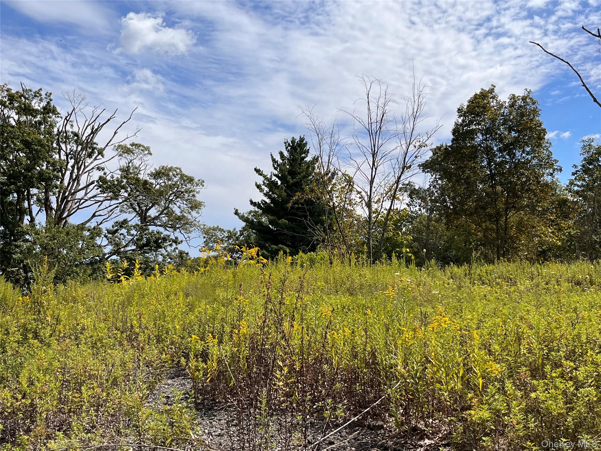 31 Ridgecrest Road Out of NYC Lake Peekskill, NY 10537