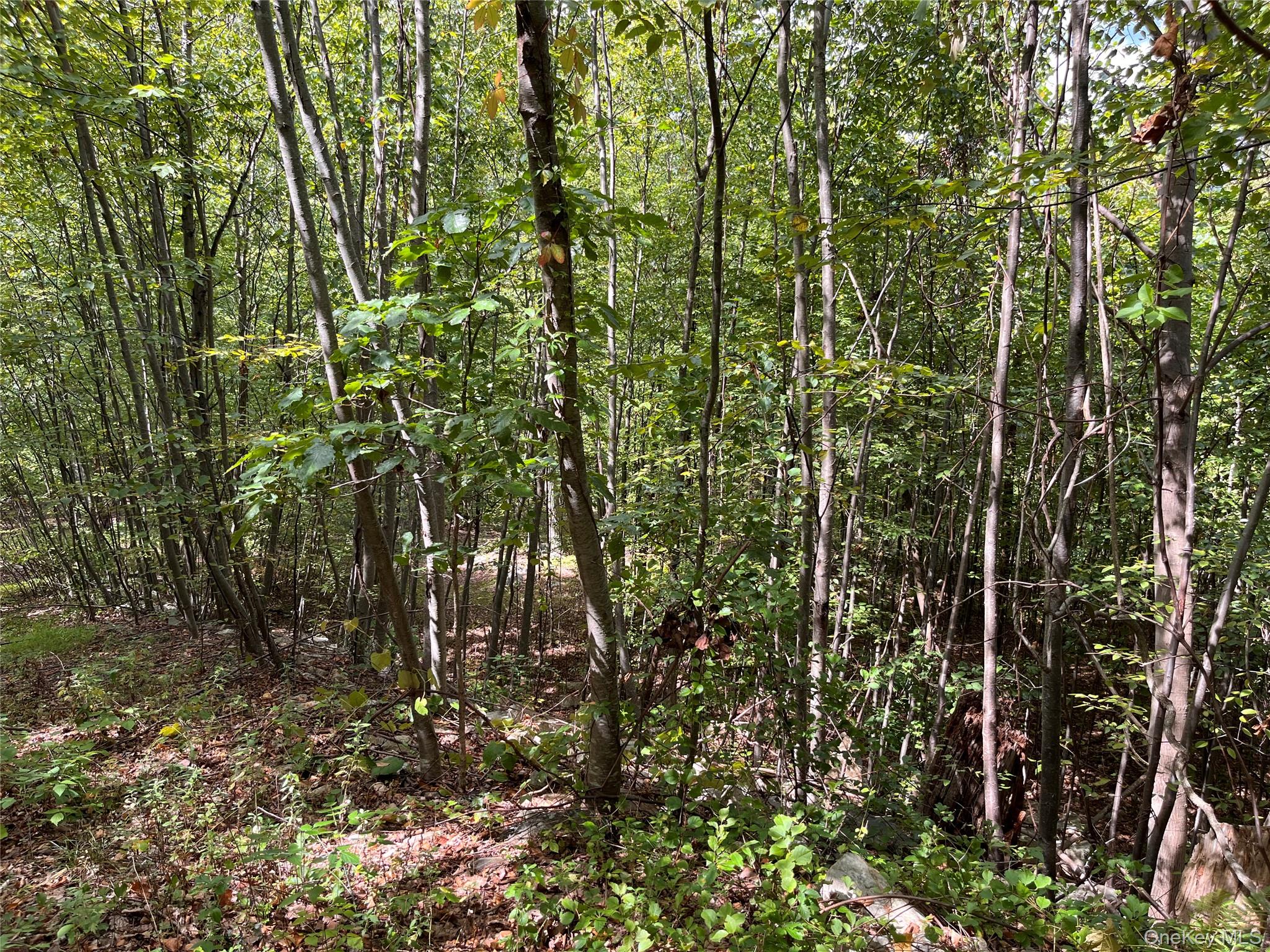 31 Ridgecrest Road Out of NYC Lake Peekskill, NY 10537