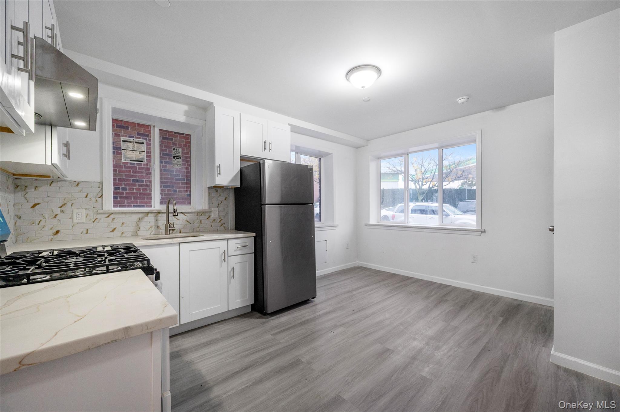 66-17 Clinton Avenue Maspeth Maspeth, NY 11378