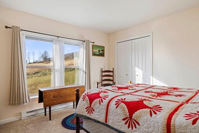 130 Hanley Road Out of NYC Fleischmanns, NY 12430