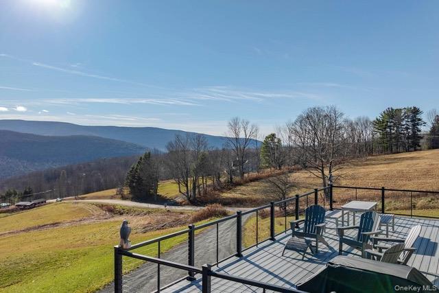 130 Hanley Road Out of NYC Fleischmanns, NY 12430