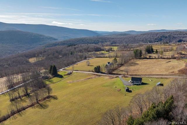 130 Hanley Road Out of NYC Fleischmanns, NY 12430